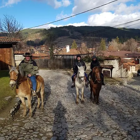 Dona - Horse Riding Gæstehus Koprivshtitsa