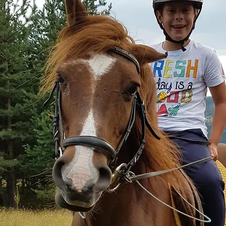 Pensionat Dona - Horse Riding Koprivsjtitsa
