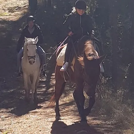 Dona - Horse Riding 2* Koprivshtitsa