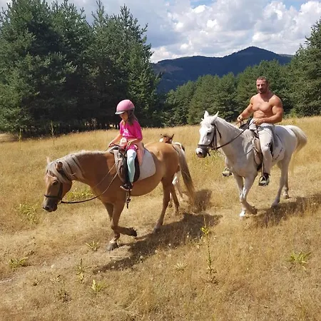 Dona - Horse Riding Gasthuis