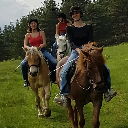 Dona - Horse Riding 2* Koprivshtitsa