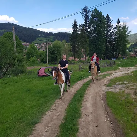 Dona - Horse Riding Gasthuis