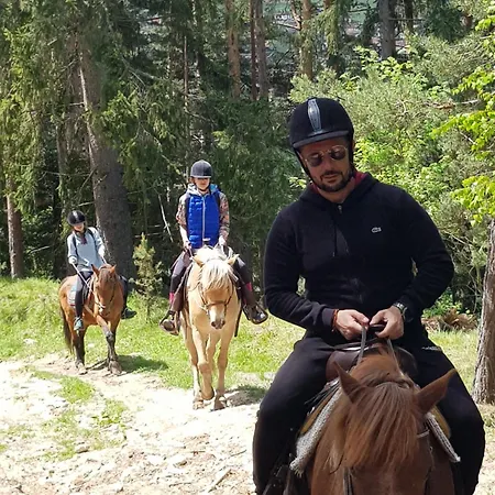 Dona - Horse Riding Gæstehus