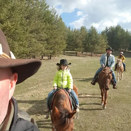 Dona - Horse Riding Pensionat 2*