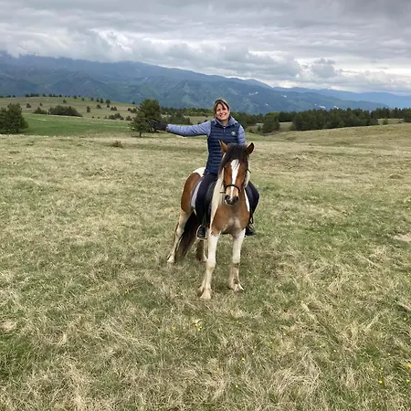 Dona - Horse Riding Gasthuis Koprivshtitsa