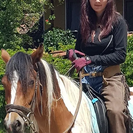 Dona - Horse Riding 게스트하우스 코프리브시티차