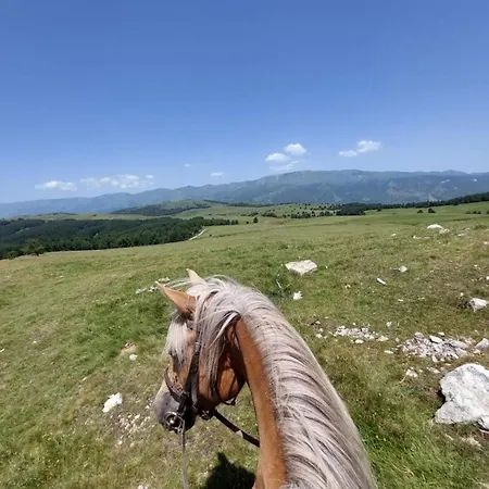 Dona - Horse Riding 2* Koprivshtitsa