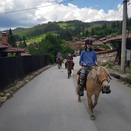 Dona - Horse Riding