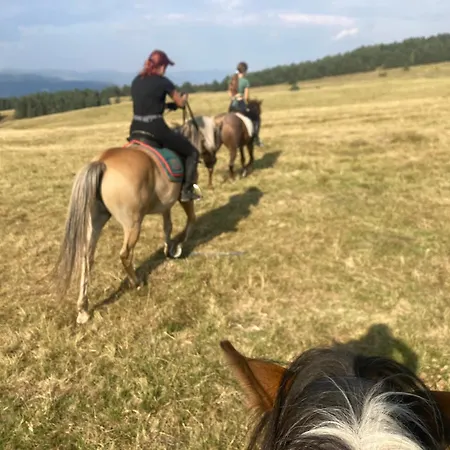 Gæstehus Dona - Horse Riding 2*
