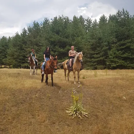 Dona - Horse Riding Gæstehus 2*