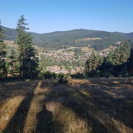 Dona - Horse Riding Koprivshtitsa