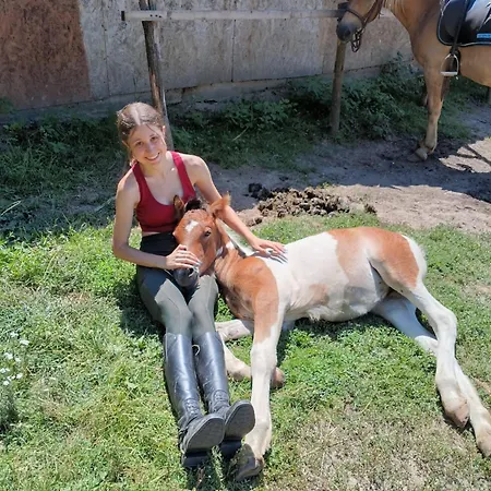 Dona - Horse Riding Gæstehus