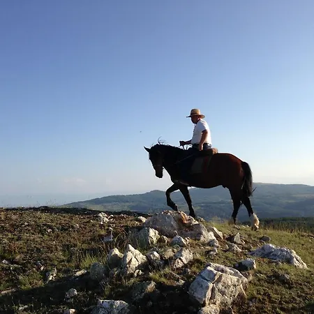 Dona - Horse Riding