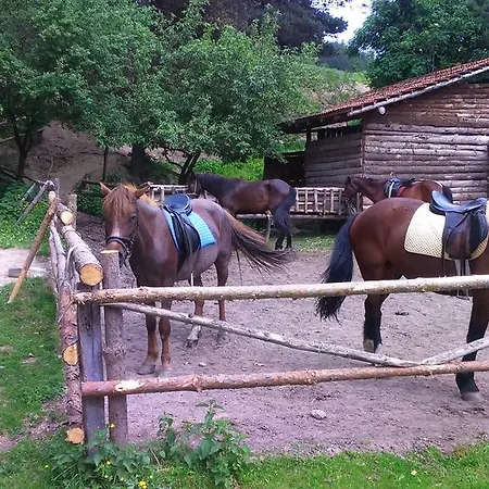 Gasthuis Dona - Horse Riding Koprivshtitsa