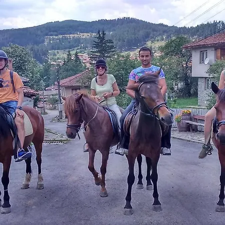 Gæstehus Dona - Horse Riding